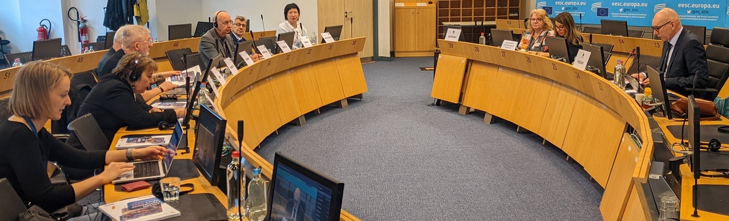 RSC ADDRESSES EUROPEAN ECONOMIC AND SOCIAL COMMITTEE MEETING IN BRUSSELS